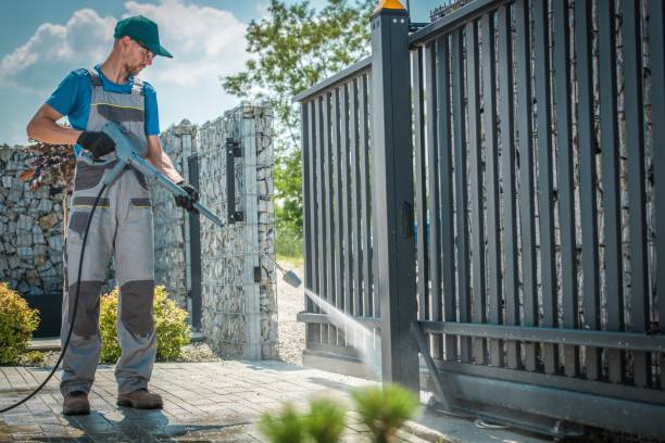 Best Driveway Pressure Washing  in North Fork, AZ