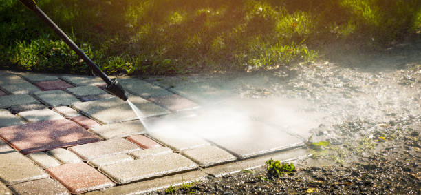 Best Driveway Pressure Washing  in North Fork, AZ